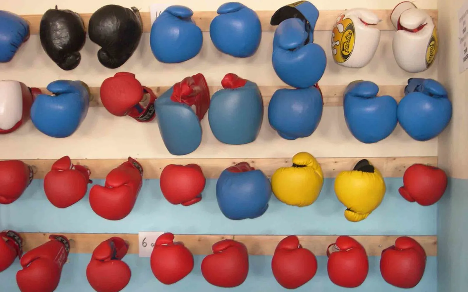 Rows of red, blue, yellow and black boxing gloves hanging on the wall of a boxing gym