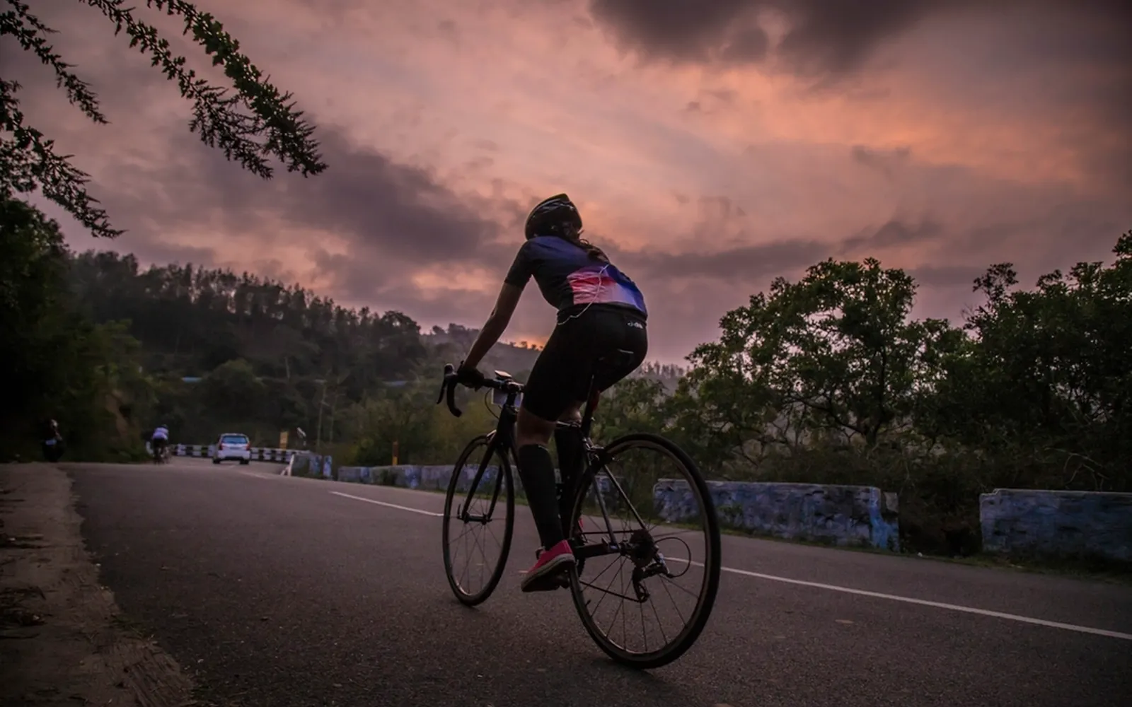 A cyclist on a road bike riding along a tree-lined road at dusk