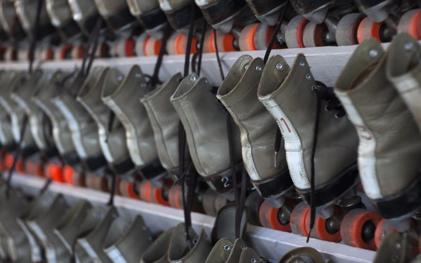 Rows of rental roller skates with orange wheels on shelves