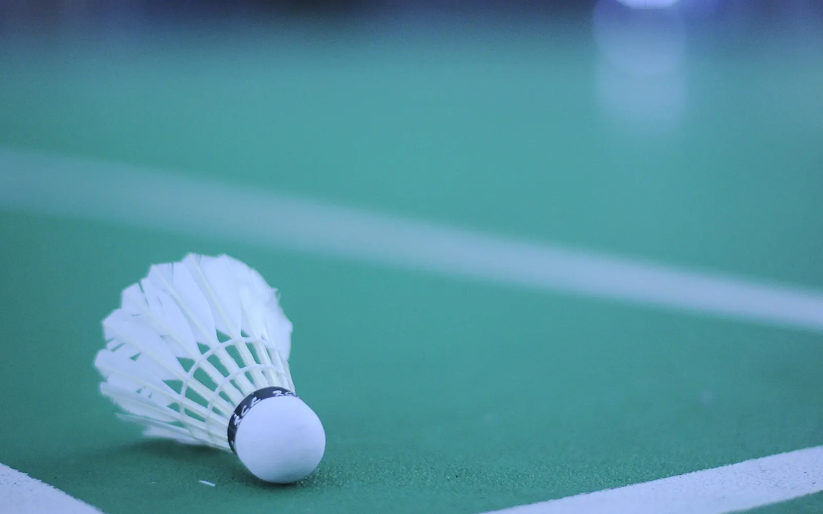 A white shuttlecock resting on a green badminton court