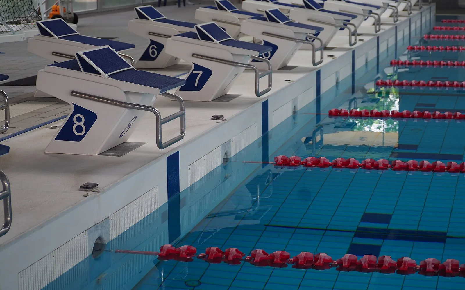 Lanes and starting blocks of a swimming pool ready for a training session